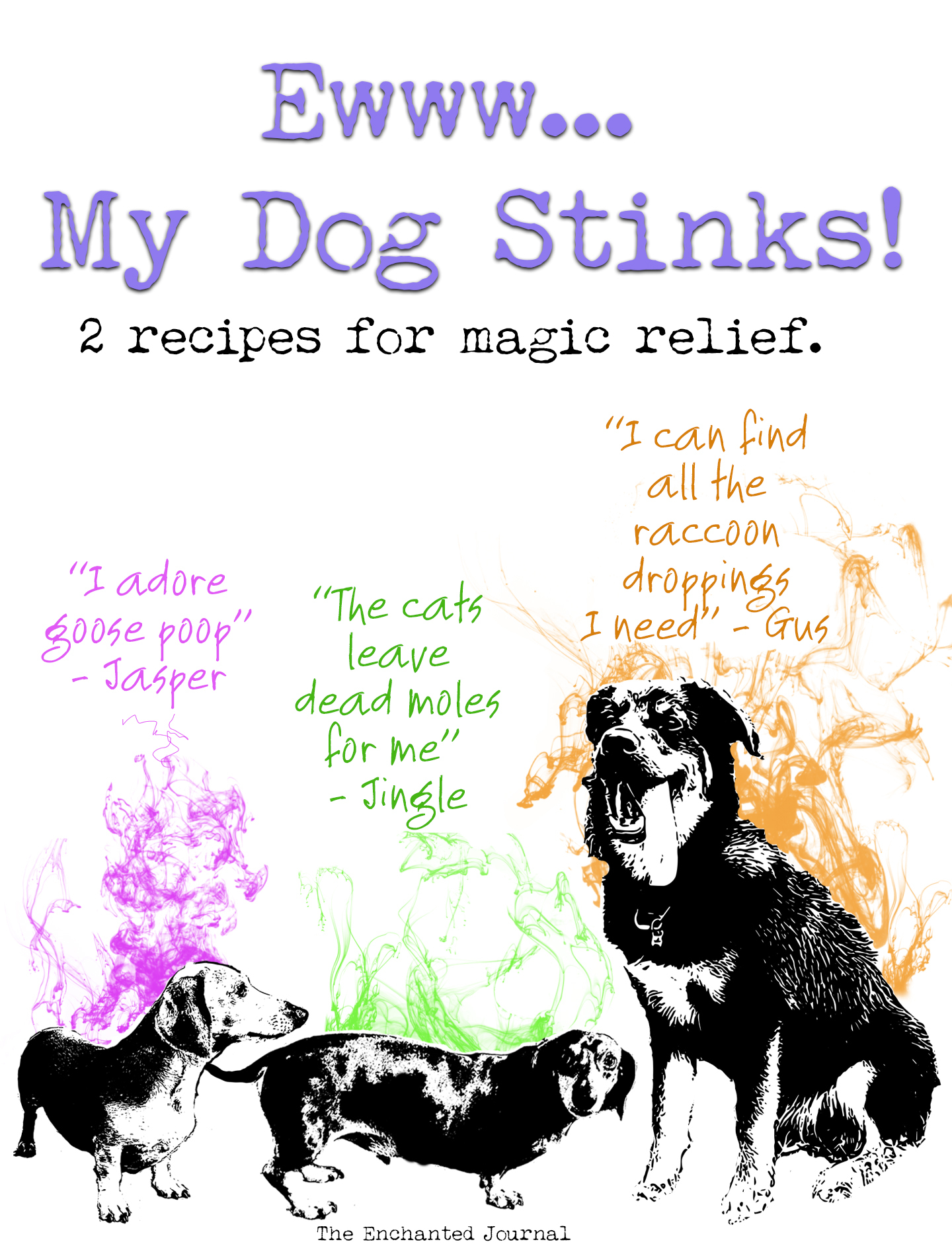 Ewww... My Dog Stinks 2 Recipes for Magic Relief. The Enchanted Journal