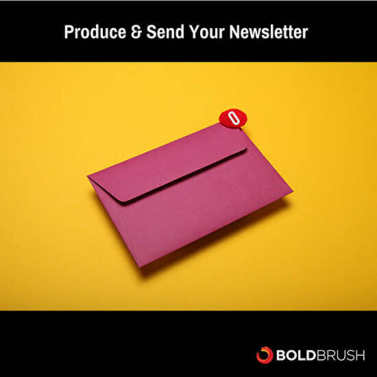 Produce and Send Your Email Newsletter FineArtViews