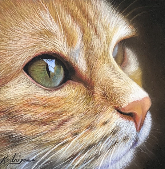PERFECT* Set of PanPastels for ANY Realistic Drawing! // Wildlife
