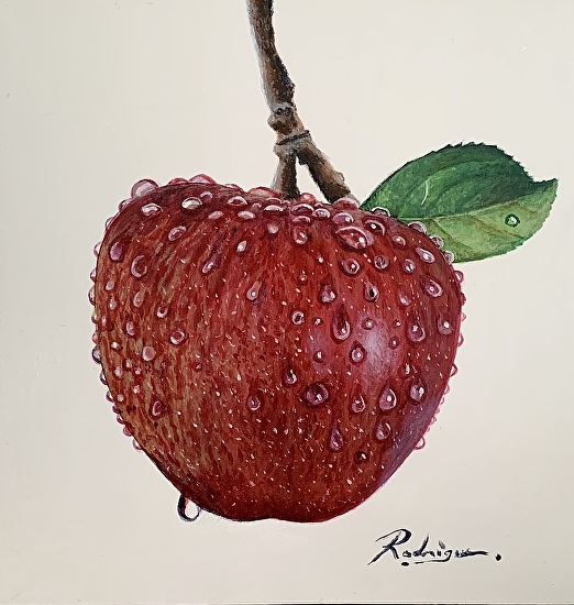 How to Draw an Apple - A Tutorial for Making a Realistic Fruit Sketch