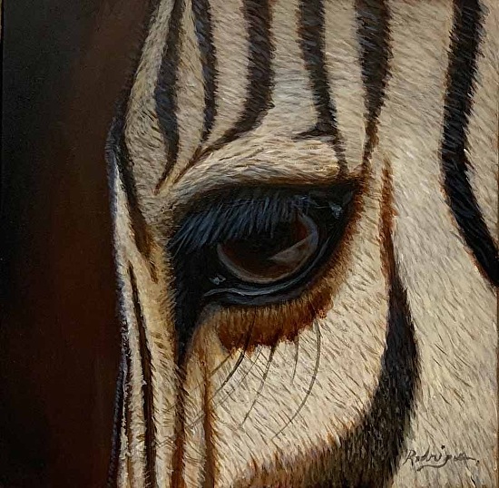 How to Paint Wildlife in Acrylics - Painting a Zebra Eye | Carole Rodrigue  Fine Art