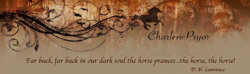 Charlene Pryor Fine Art