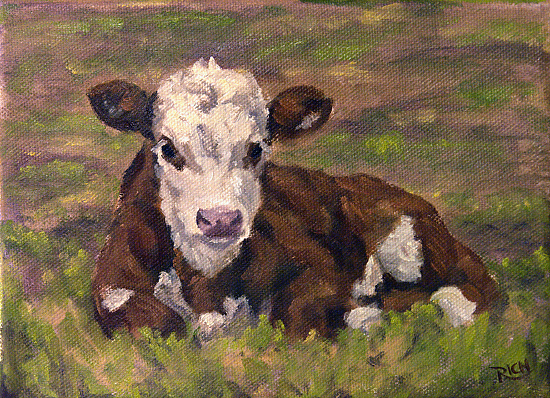 Spring is coming, that means calving season, and new paintings of ...