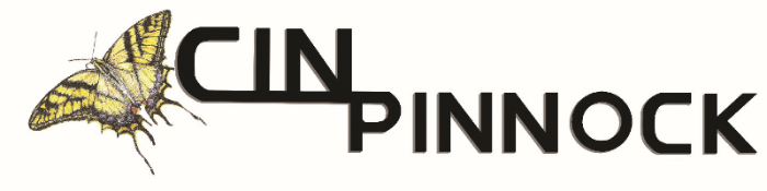 Cindy Pinnock Fine Art