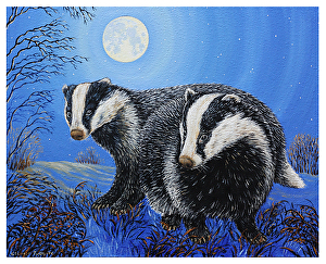 Badgers by Moonlight | devon's nature in art - Blog