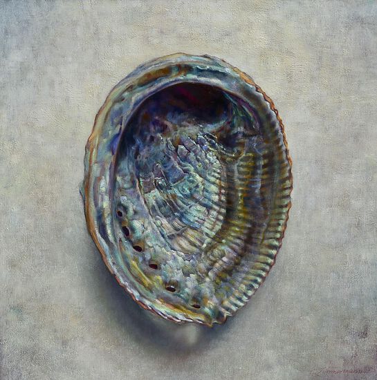 My Very Own Abalone! | Caroline Zimmermann - Blog