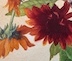 Sherry Willis Watercolor
