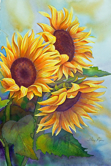 Symbols of Hope | Sherry Roper - Blog