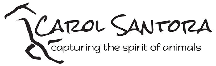 Carol Santora Fine Art
