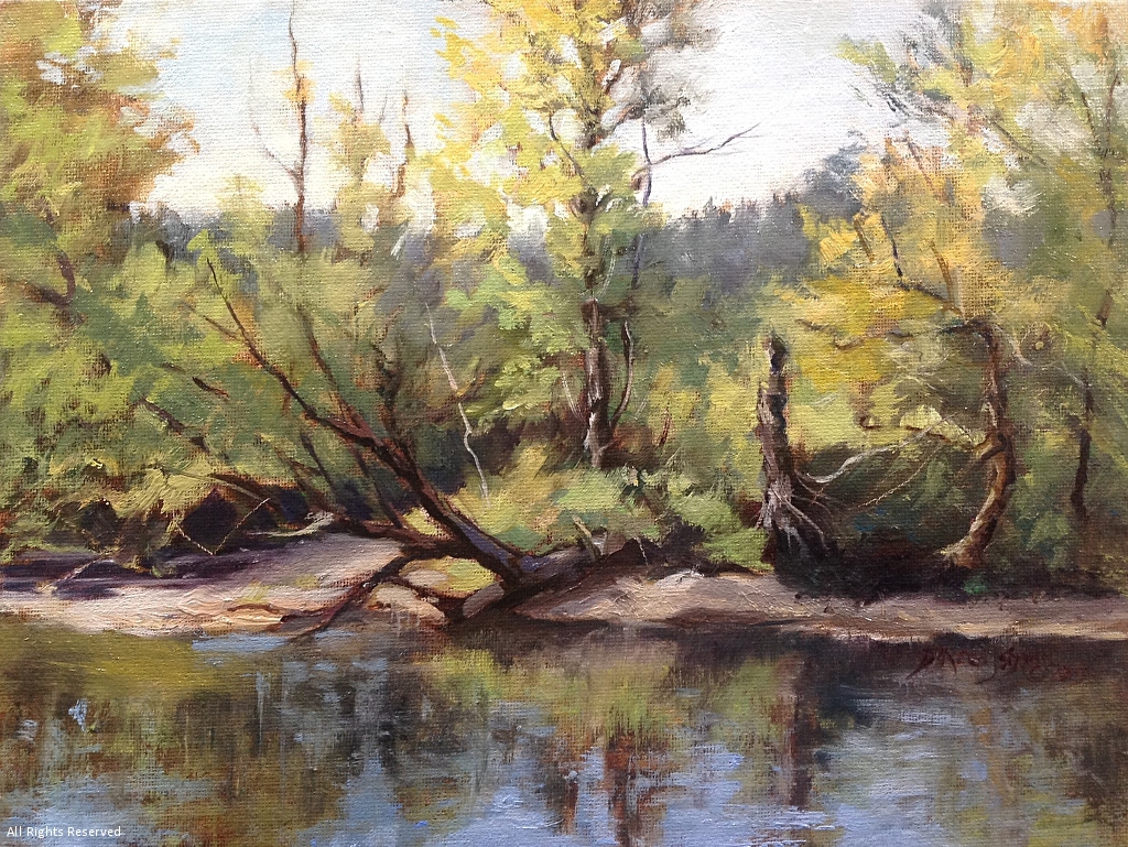 Doreen St. John - Along the Sammamish- Oil - Painting entry - August ...